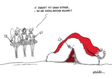 Santa's Hat & Fairies